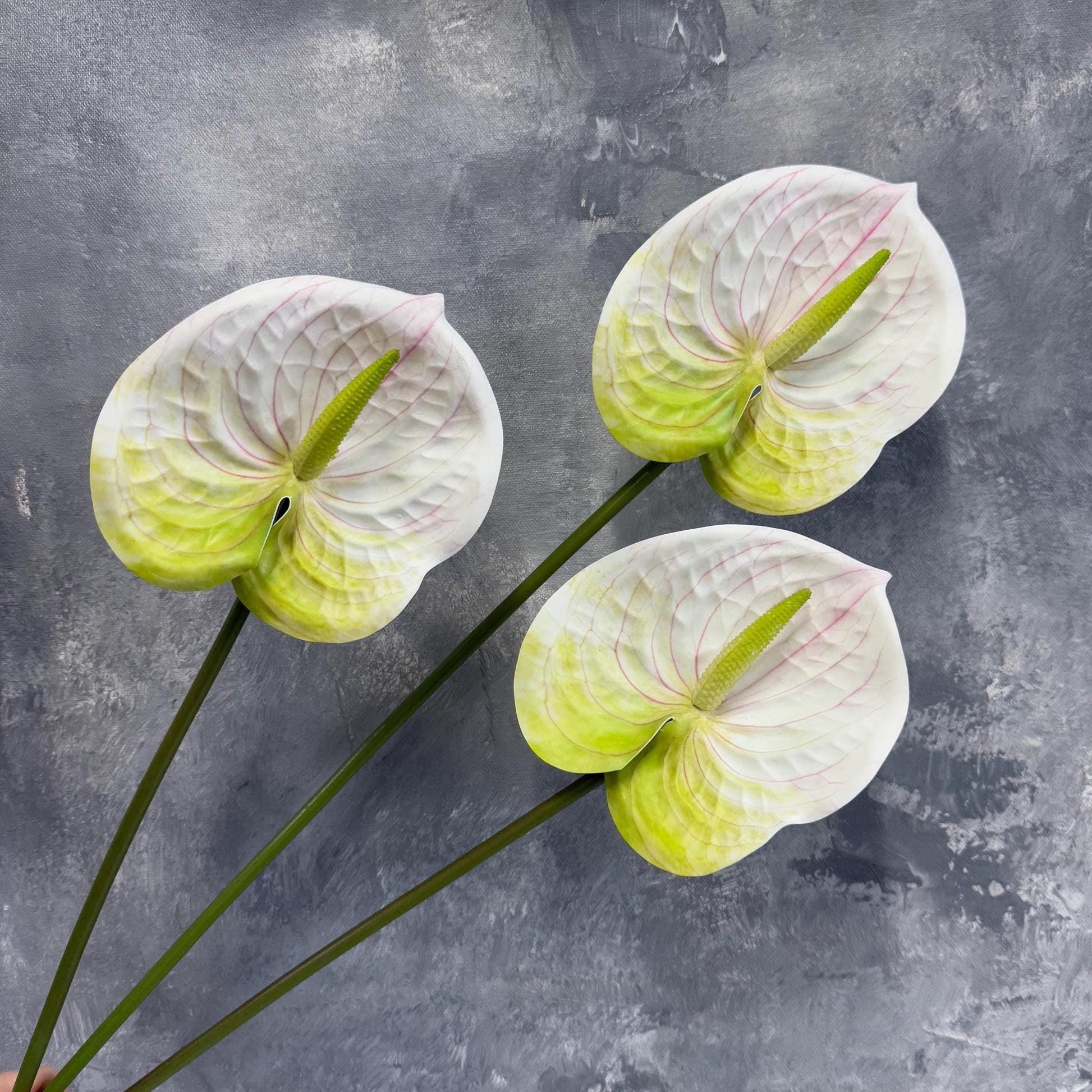 White real touch anthurium head and stem