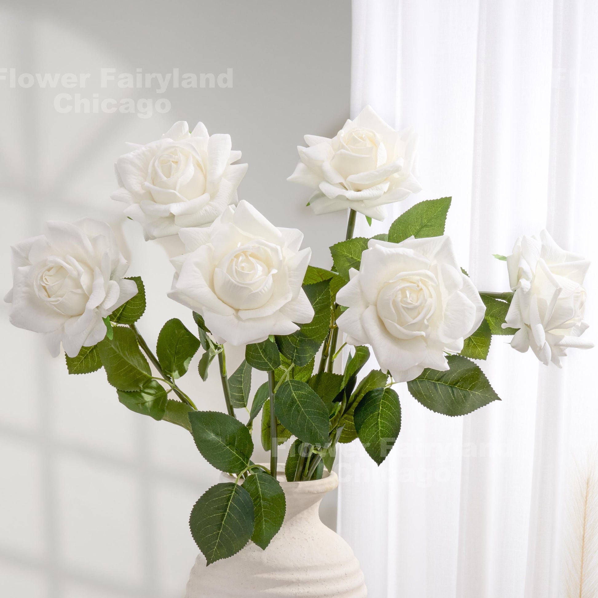 White full bloom roses in a cream vase