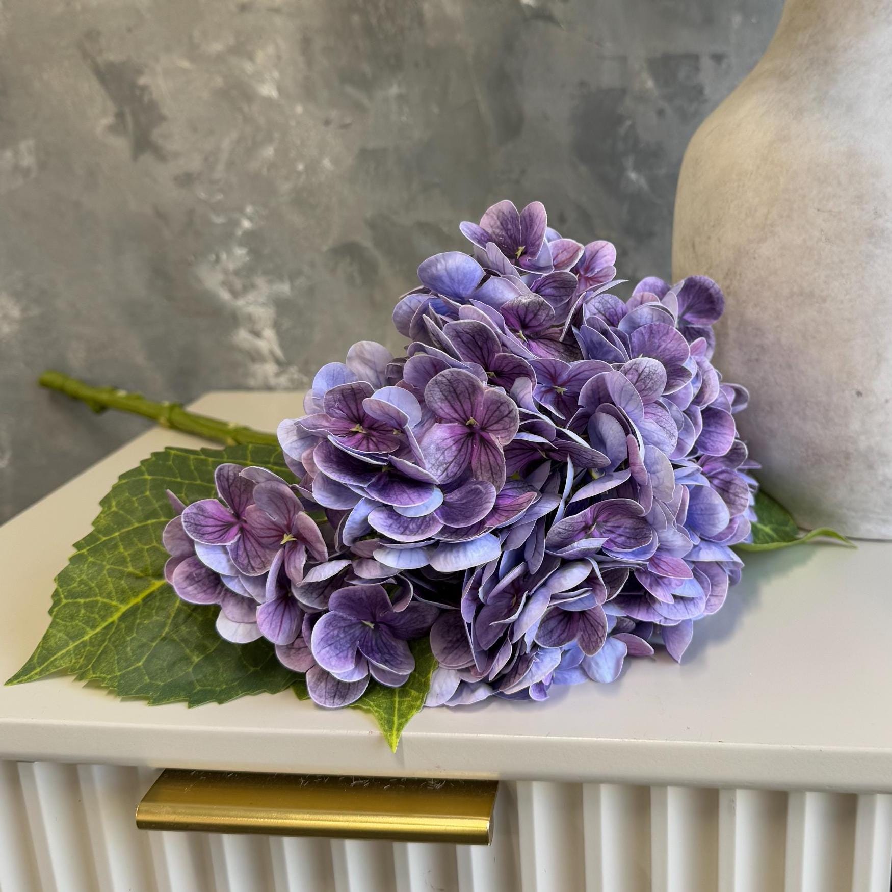 Gradient grape purple hydrangea close-up
