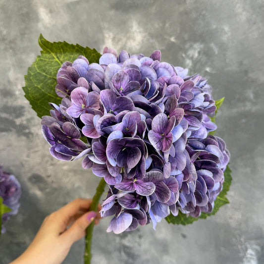Gradient grape purple real touch hydrangea stem