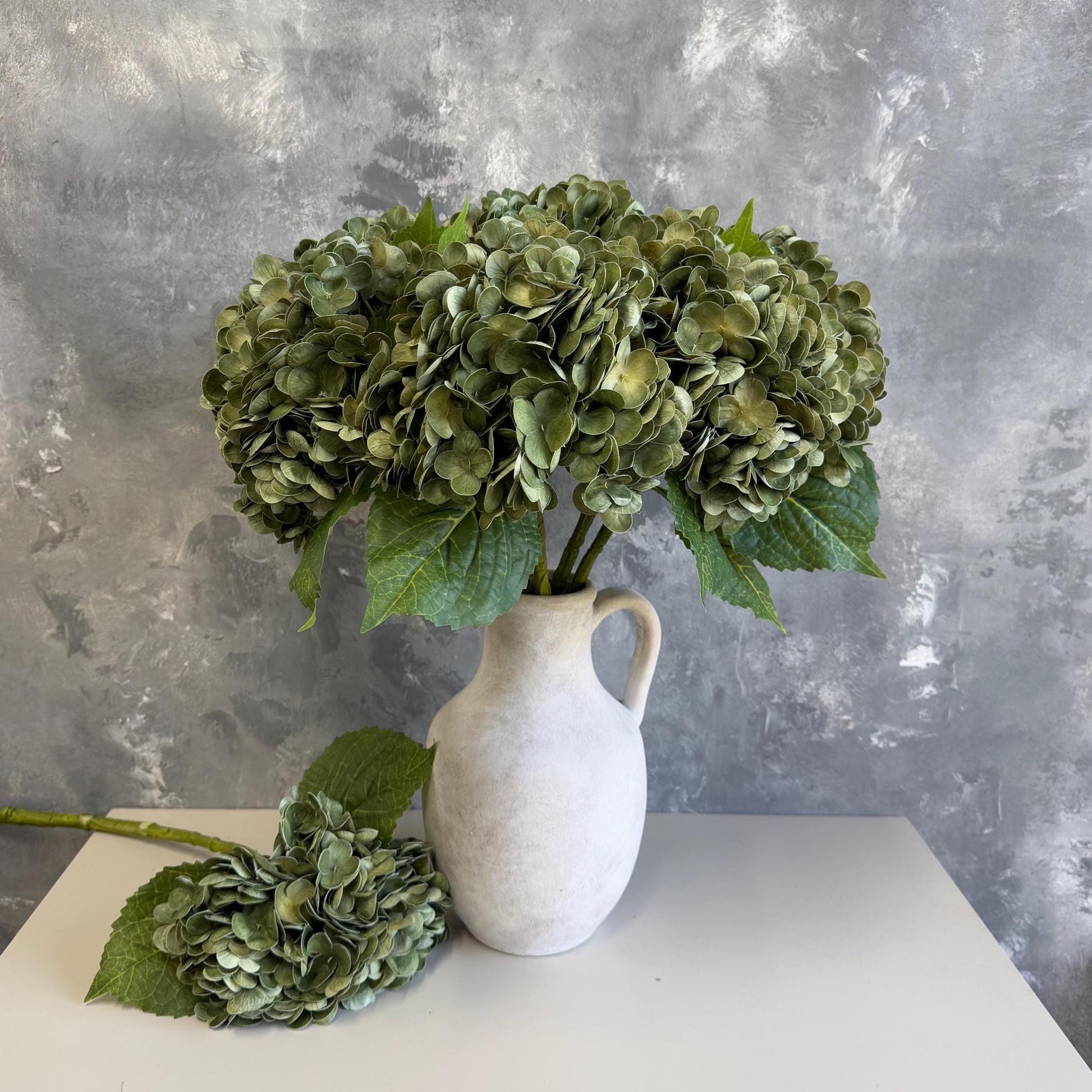 Antique green hydrangea bloom detail