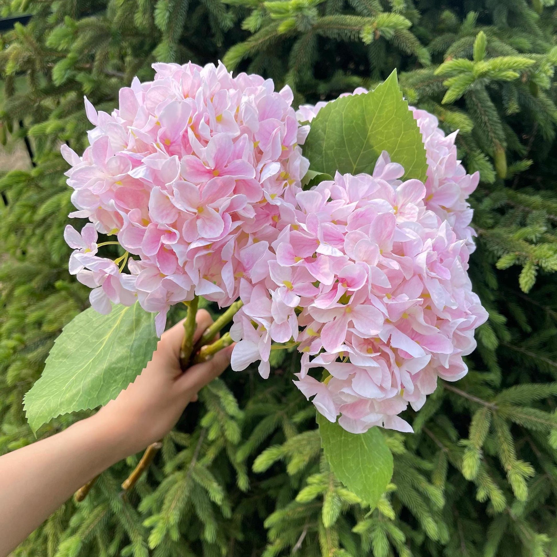 Light pink faux hydrangea stem held in hand