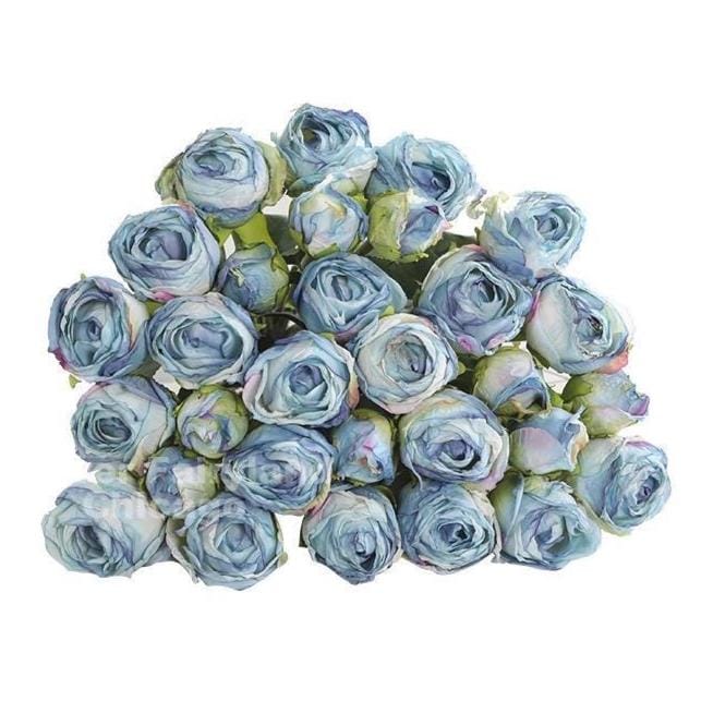 Blue dried look rose bouquet long stem
