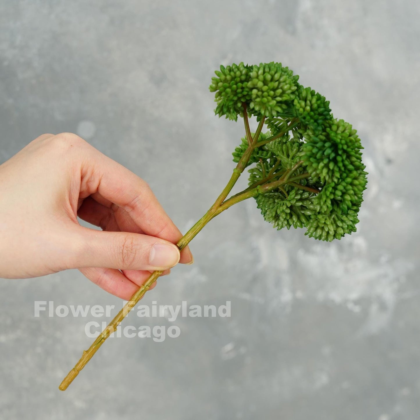 Real touch sedum stem in forest green held in hand
