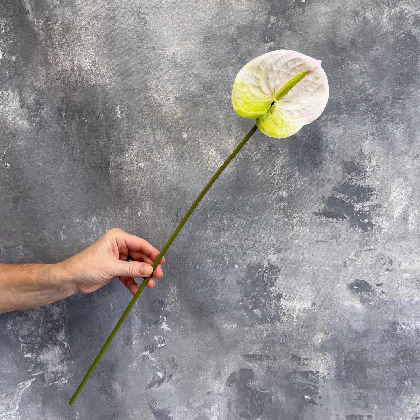 Real touch anthurium stem in white - single stem