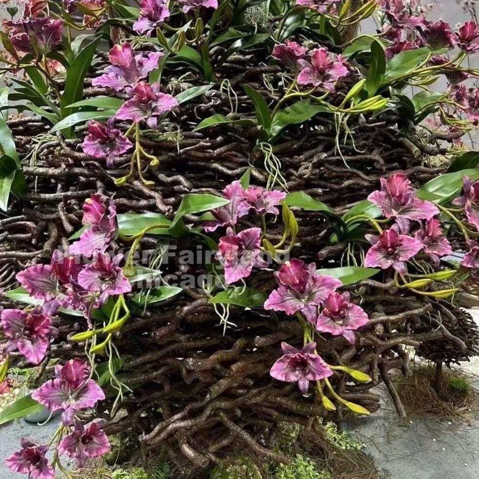 Pink faux cattleya orchid full view
