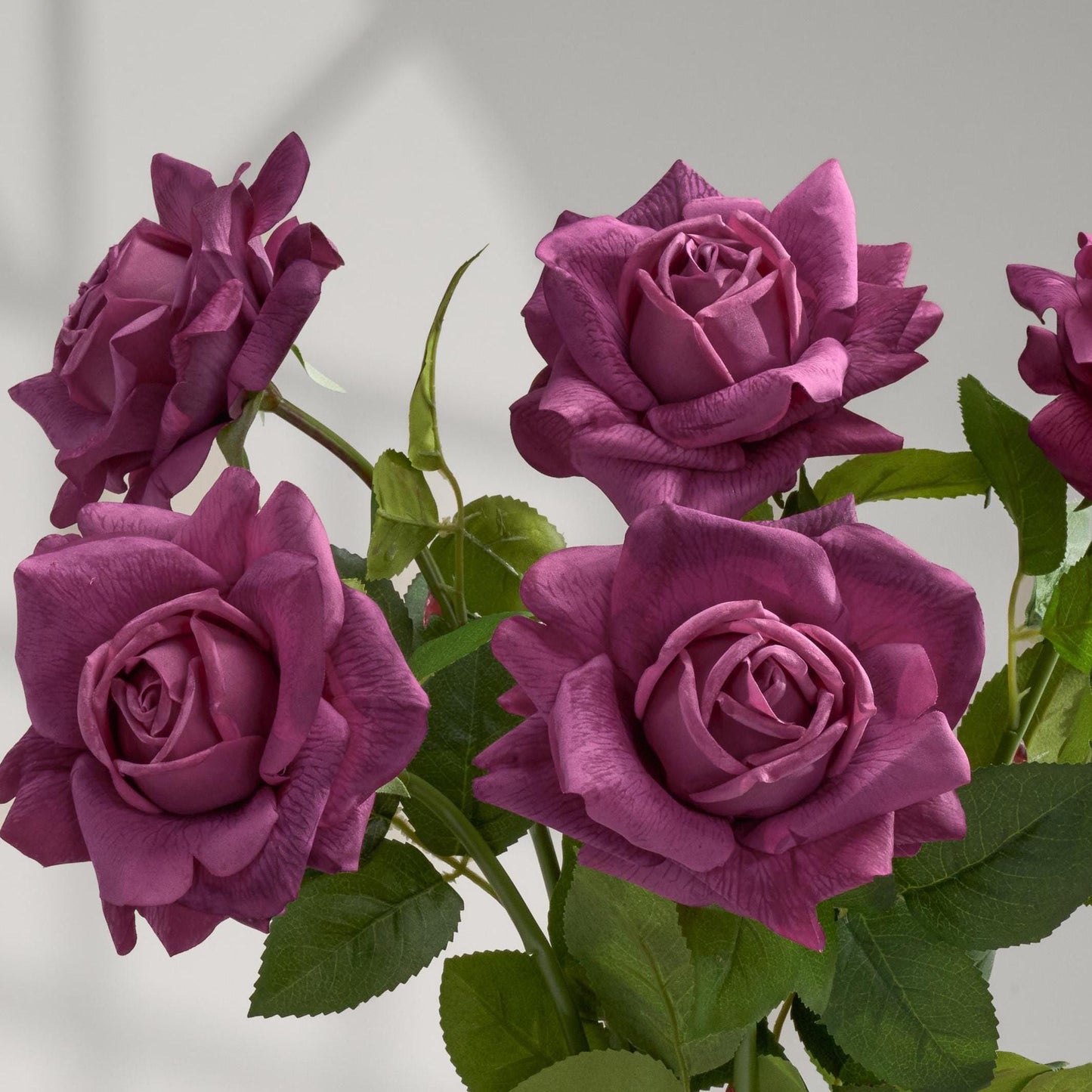 Plum real touch full bloom roses close up