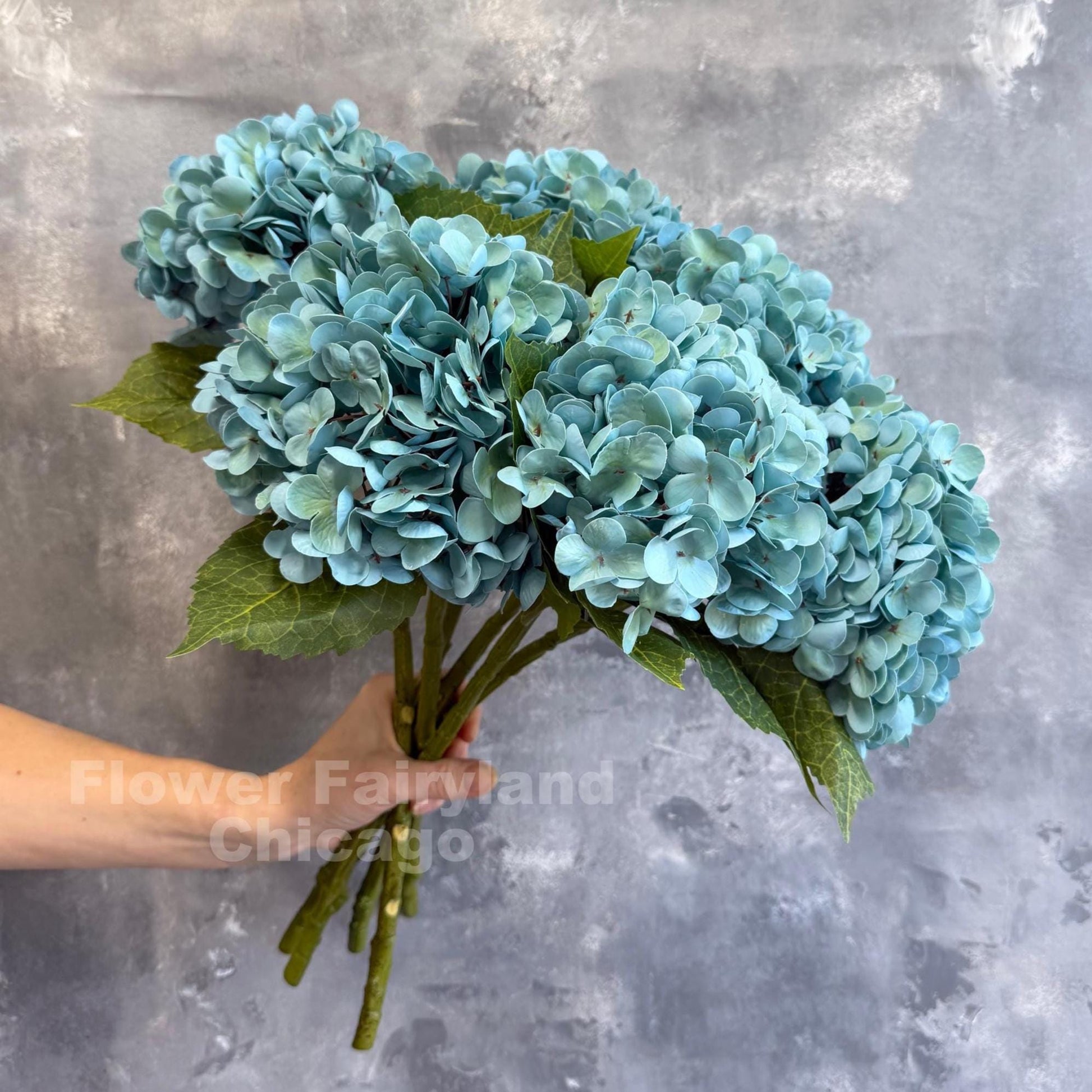 Turquoise hydrangea bloom detail