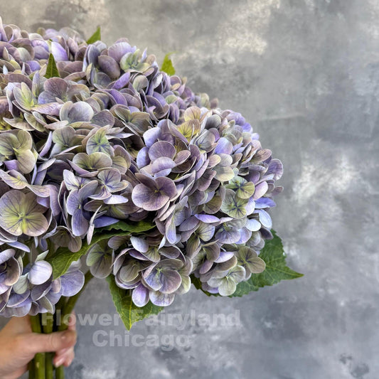 Greenish lavender real touch hydrangea stem