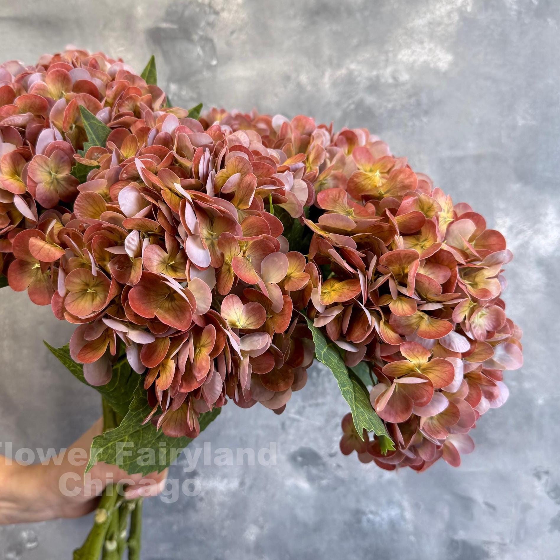 Rusty brown hydrangea in arrangement
