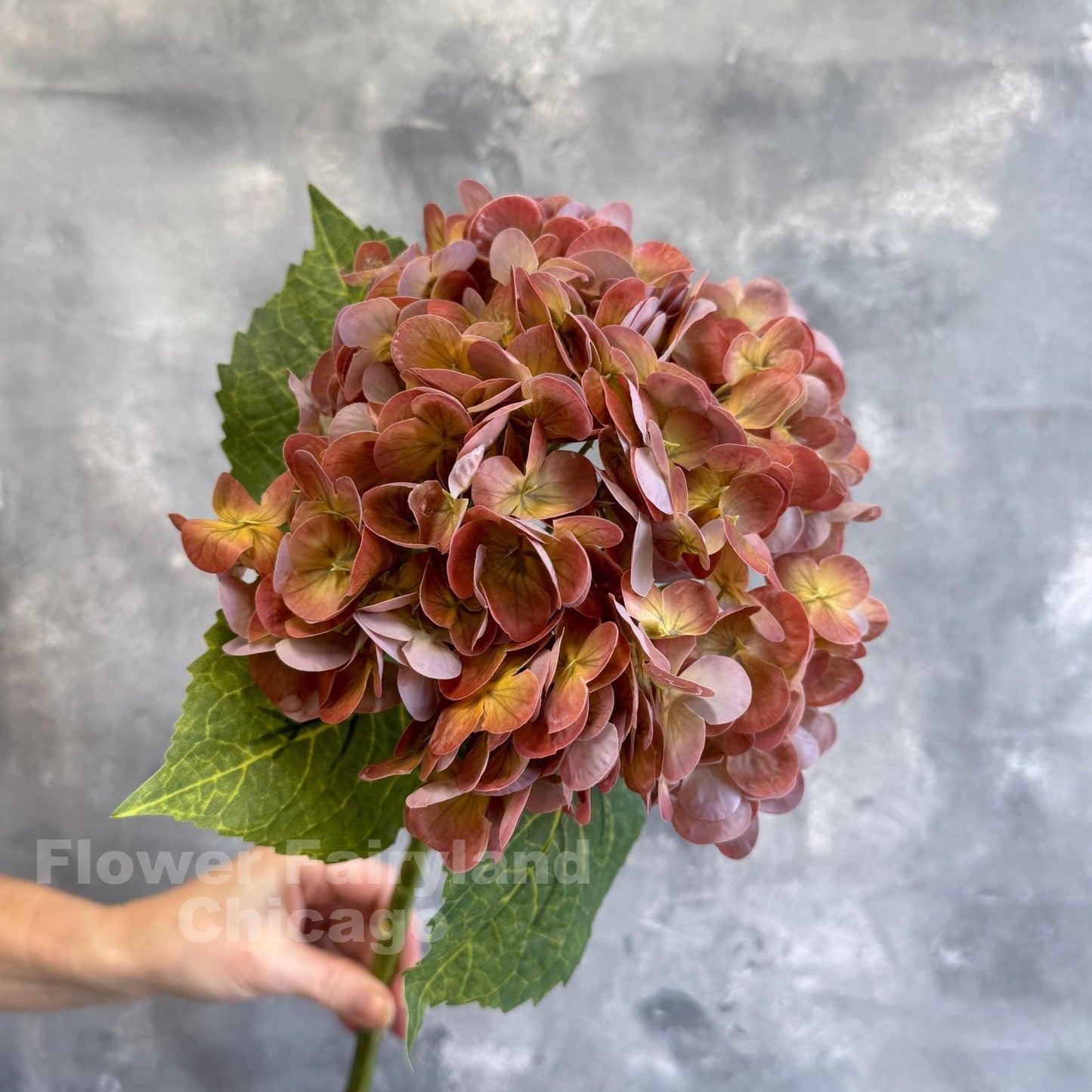 Rusty brown real touch hydrangea stem