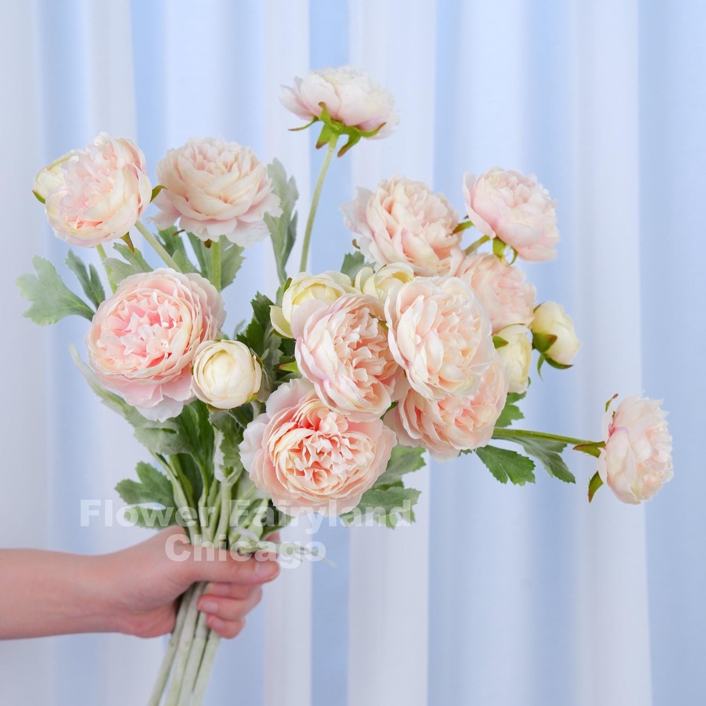 Pale pink ranunculus arrangement
