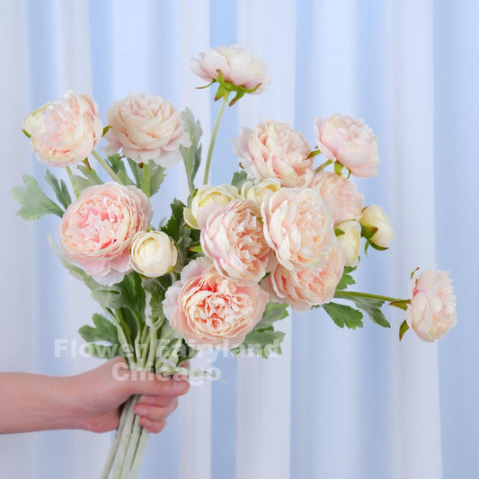 Pale pink ranunculus arrangement