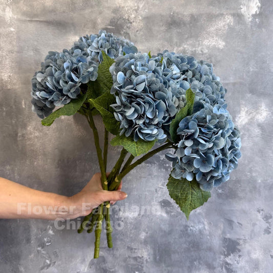Dark dusty blue hydrangea bloom detail