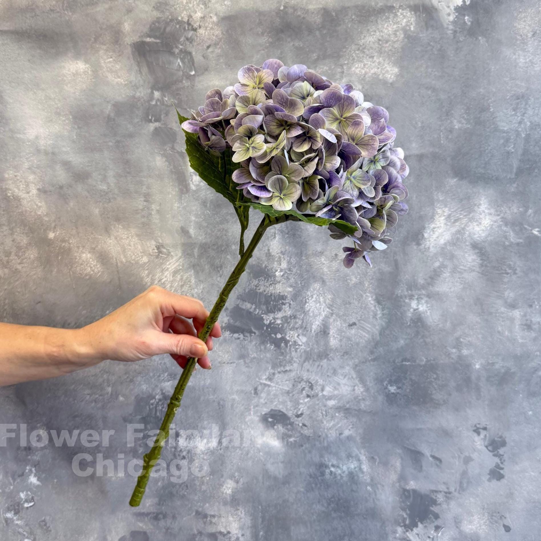 Greenish lavender hydrangea styling