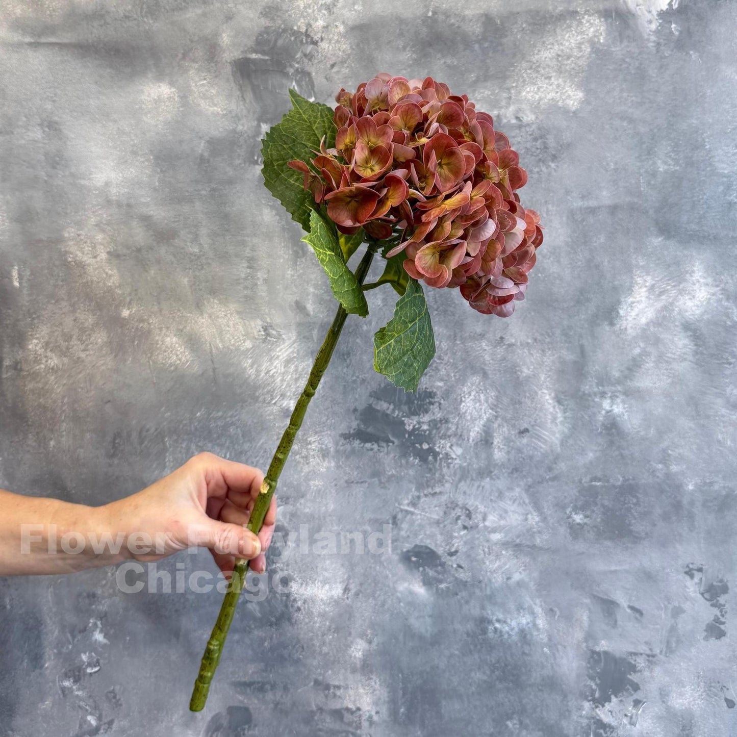 Rusty brown hydrangea styling