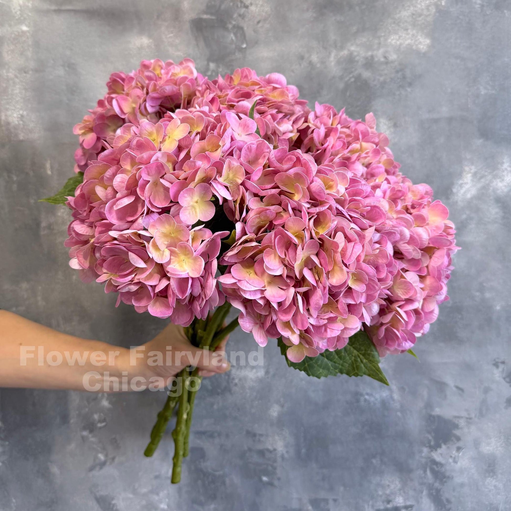 Yellowish pink hydrangea in arrangement