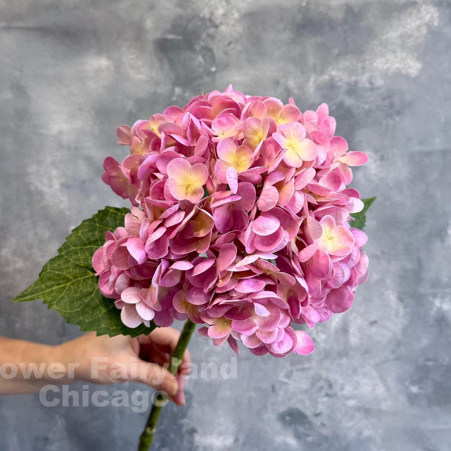 Yellowish pink hydrangea styling
