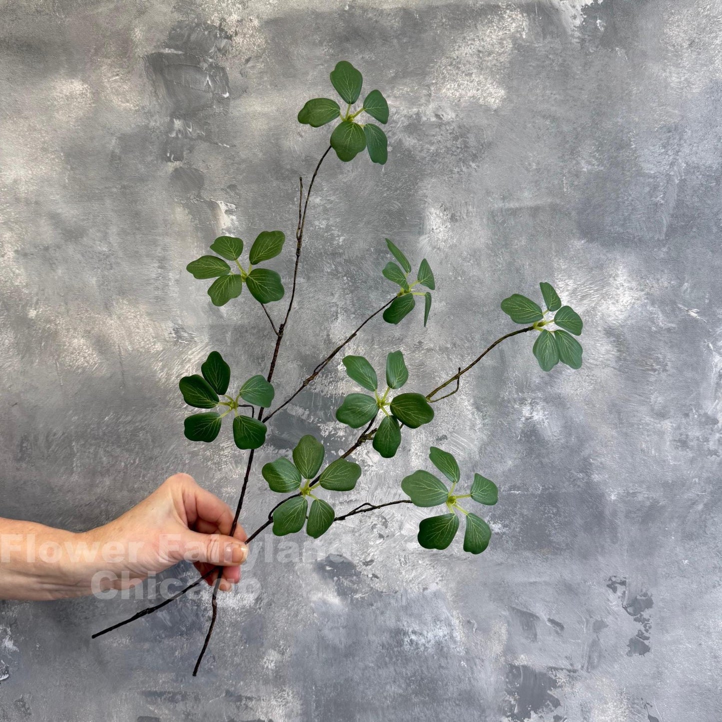 Small faux Pieris Japonica stem held in hand