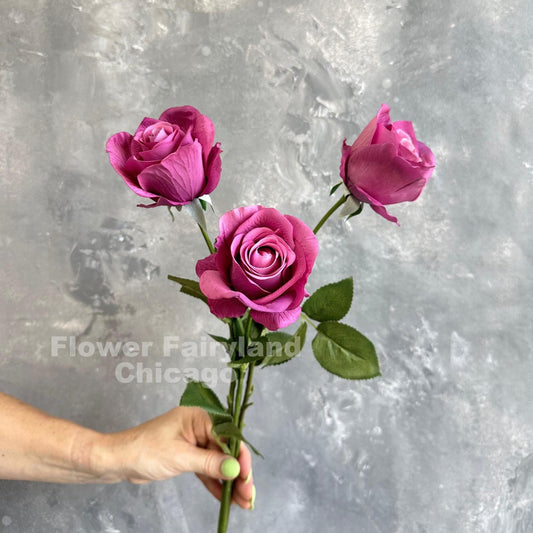 Three mulberry half opened rose stems held in hand