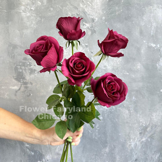 Three wine half opened rose stems held in hand