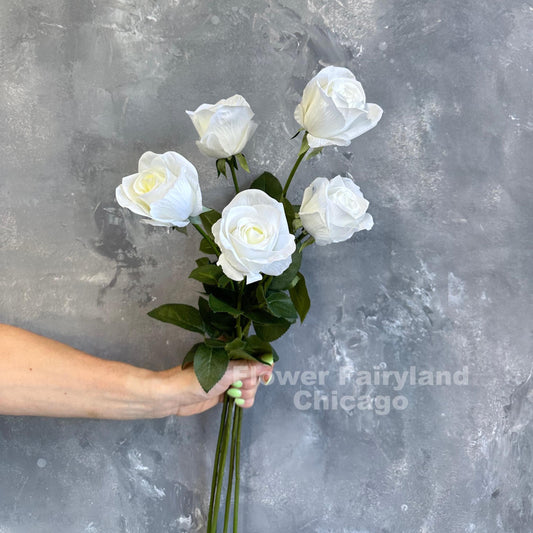 Three white half opened rose stems held in hand