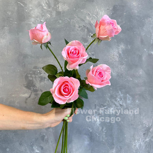 Three pink half opened rose stems held in hand