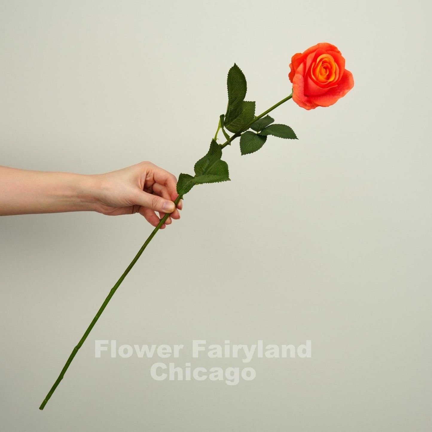 Real touch half opened rose single long stem in orange ombre