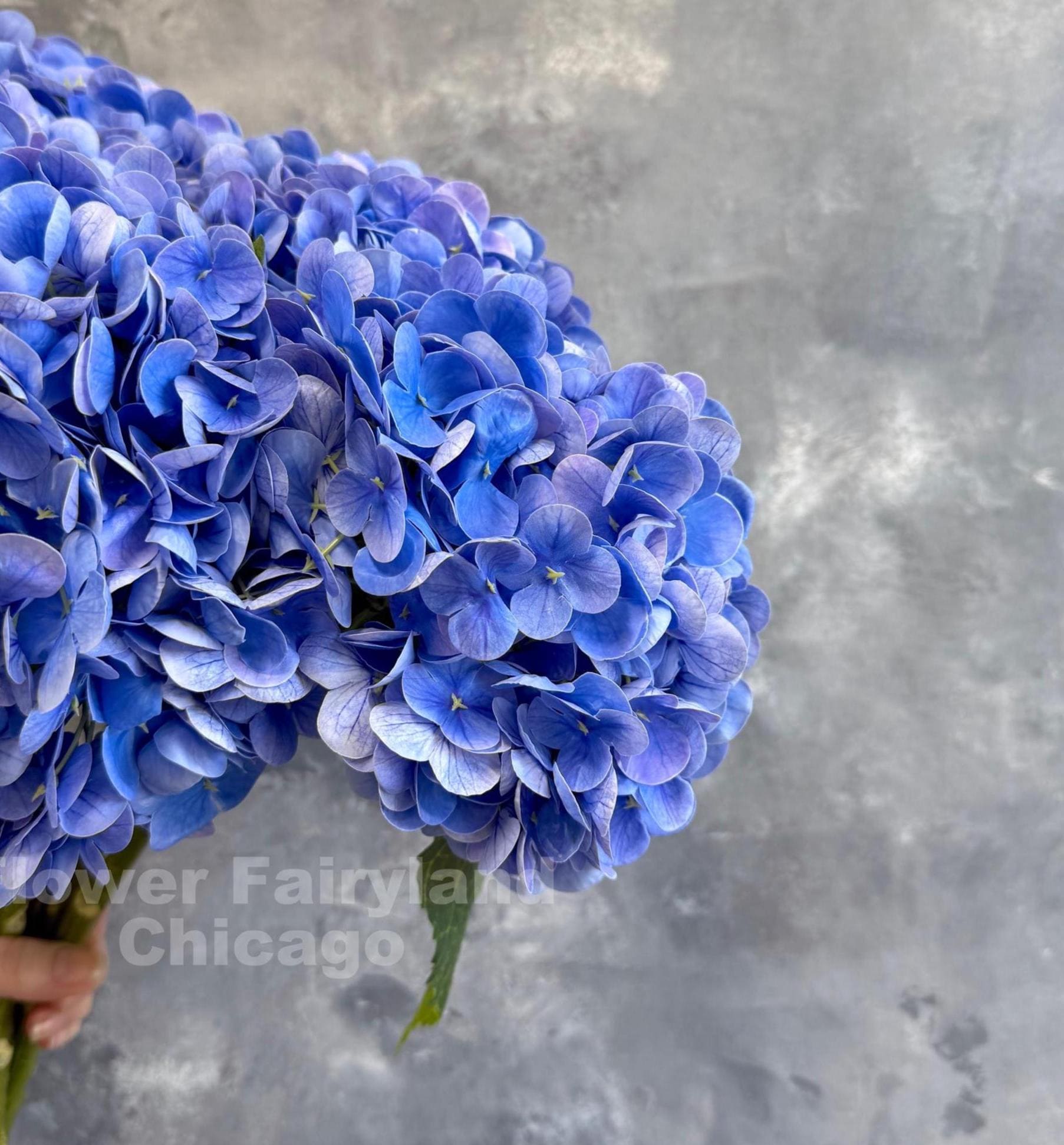 Blue violet real touch hydrangea stem