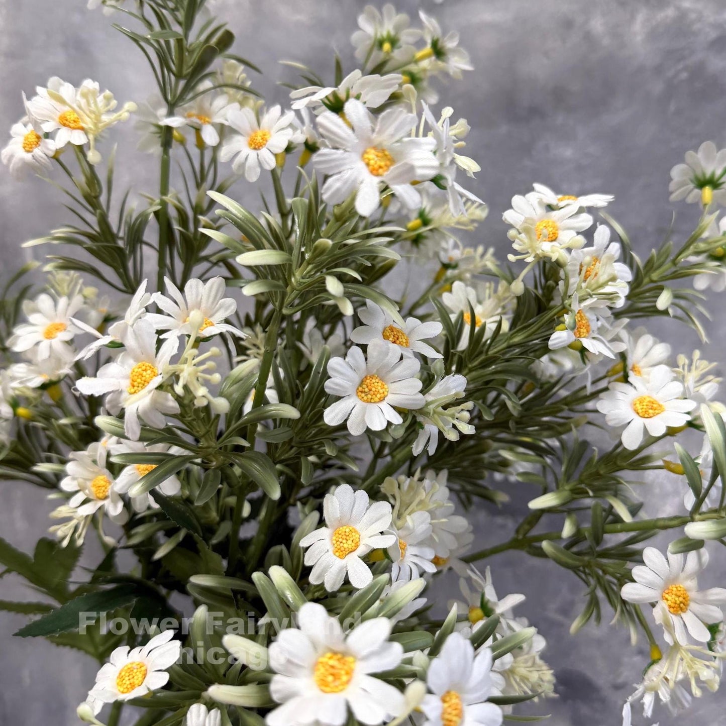 White chamomile daisy flowers detail