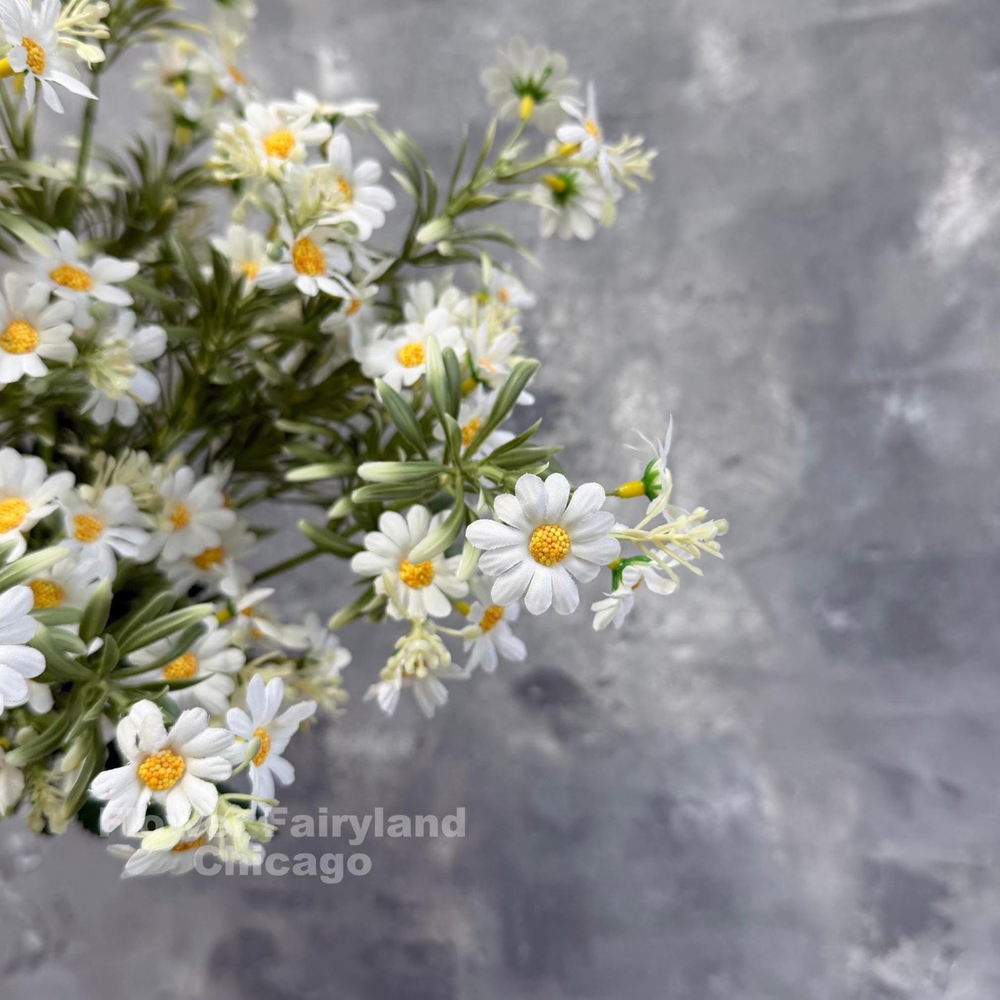 White faux chamomile daisy spray close up