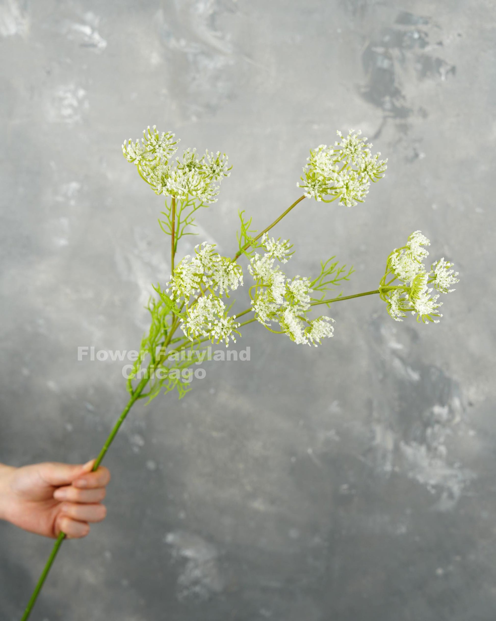 Faux Queen Anne's lace branch in white - close view