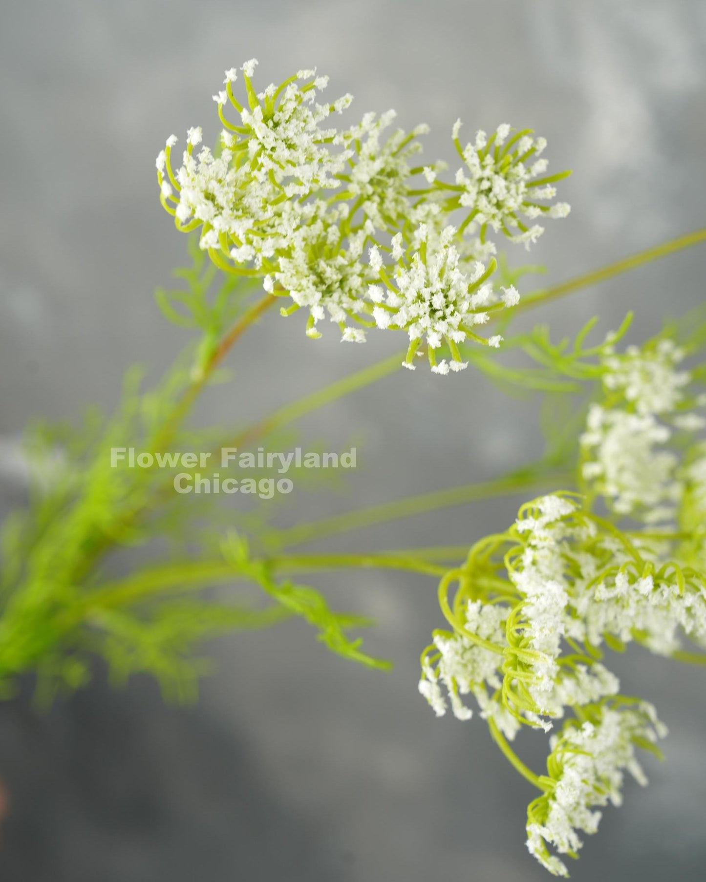 Faux Queen Anne's lace branch - foliage detail