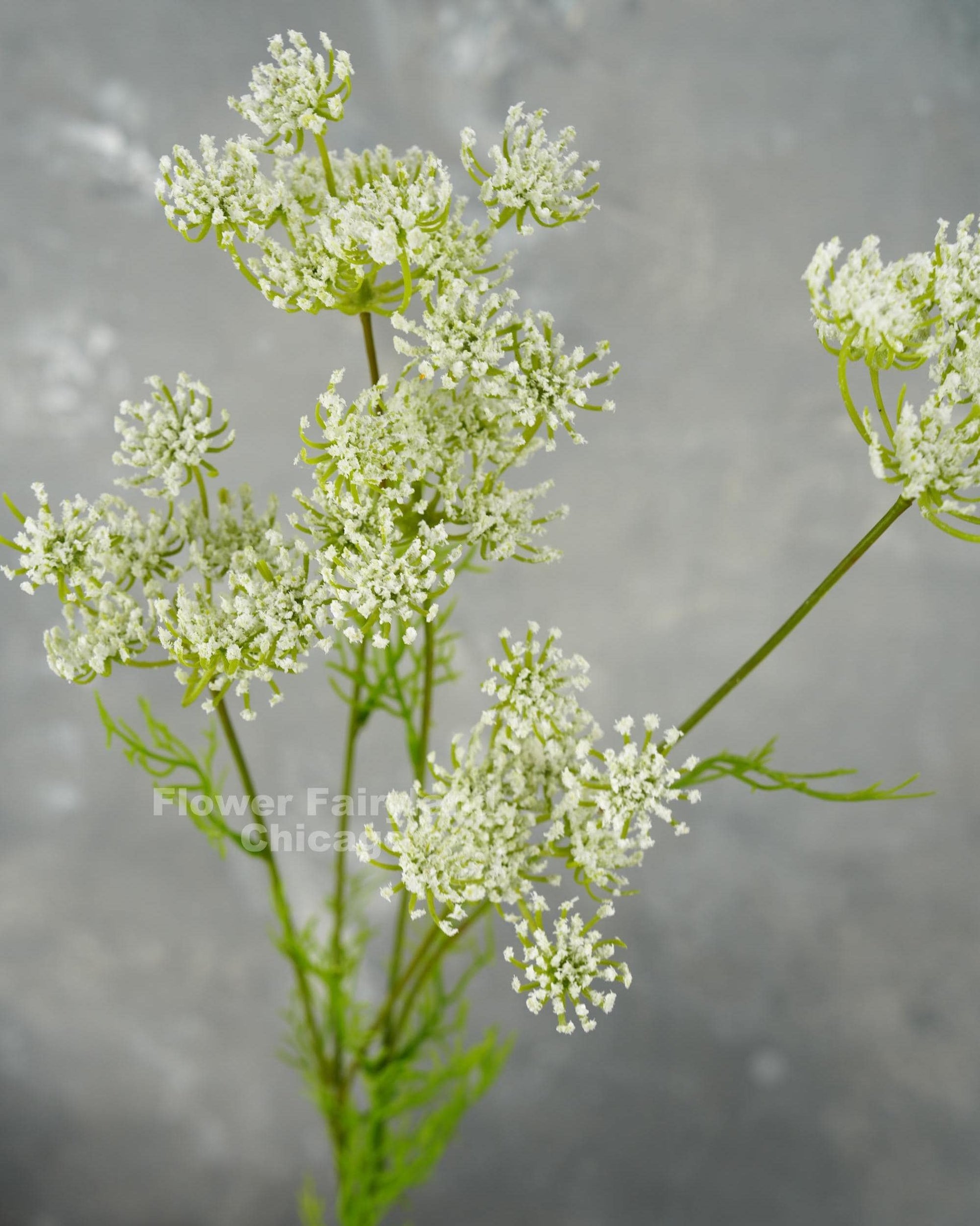 Faux Queen Anne's lace flower clusters close-up