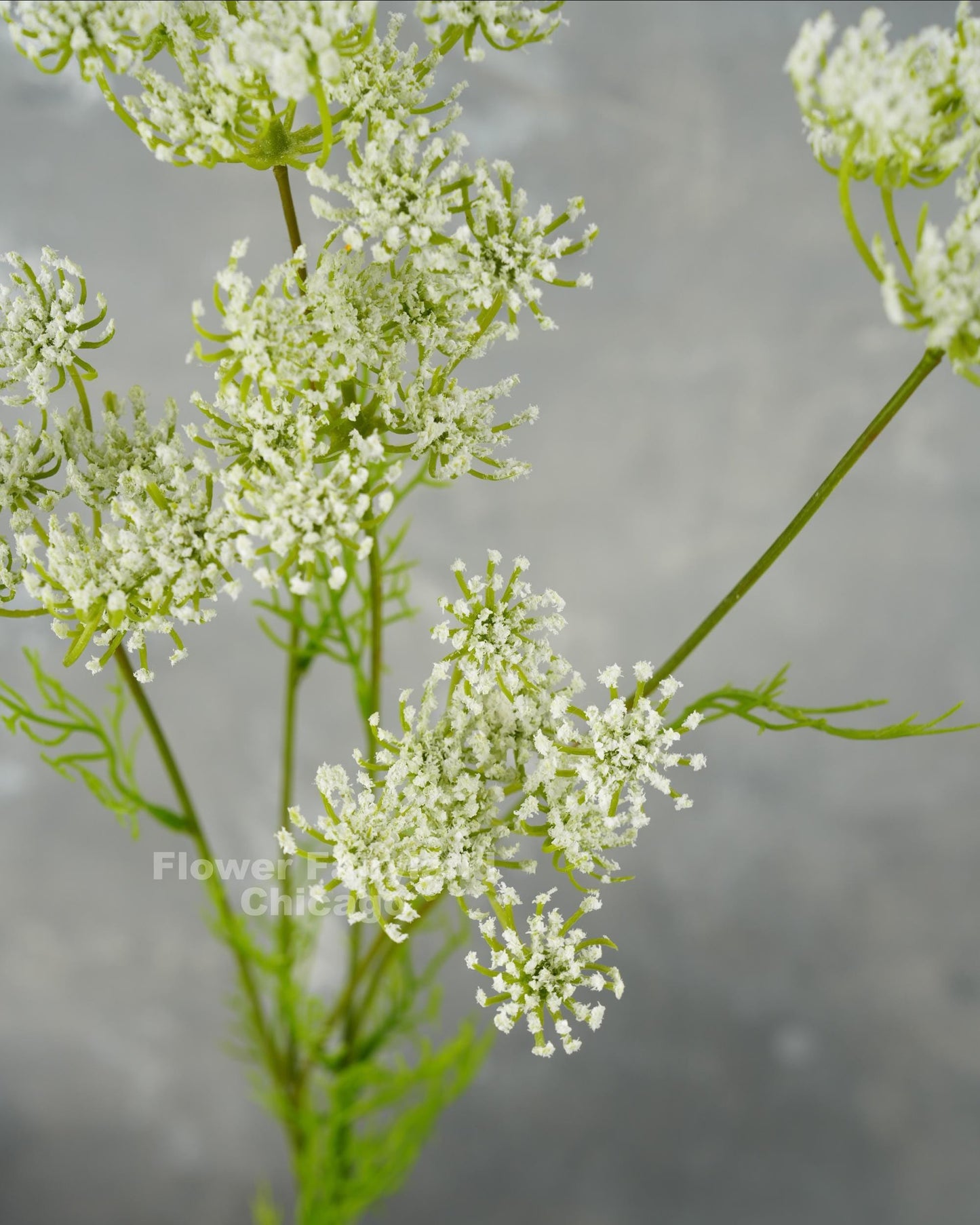 Faux Queen Anne's lace branch in white - detail