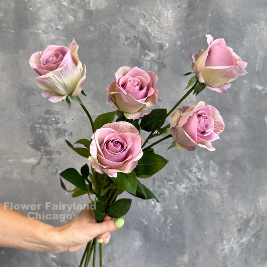 Greenish lilac half opened rose stems
