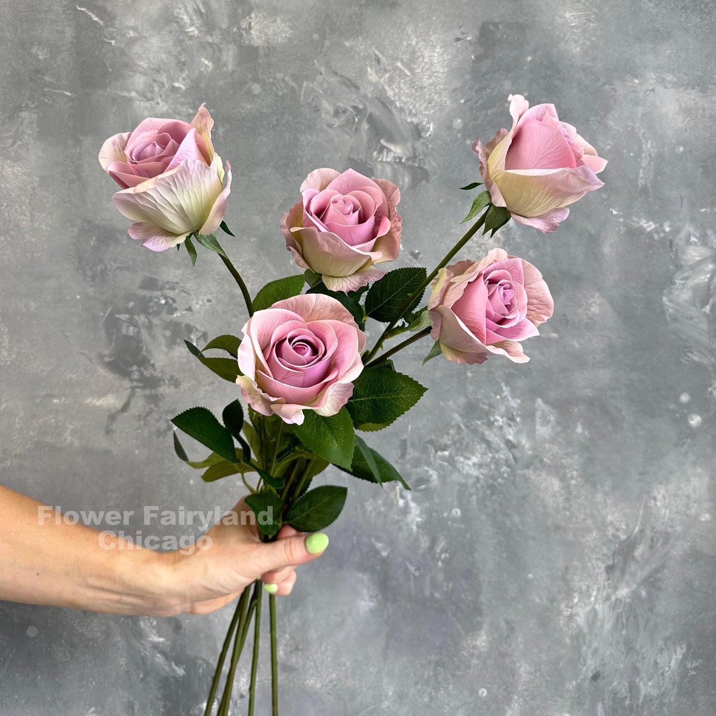 Three greenish lilac half opened rose stems held in hand