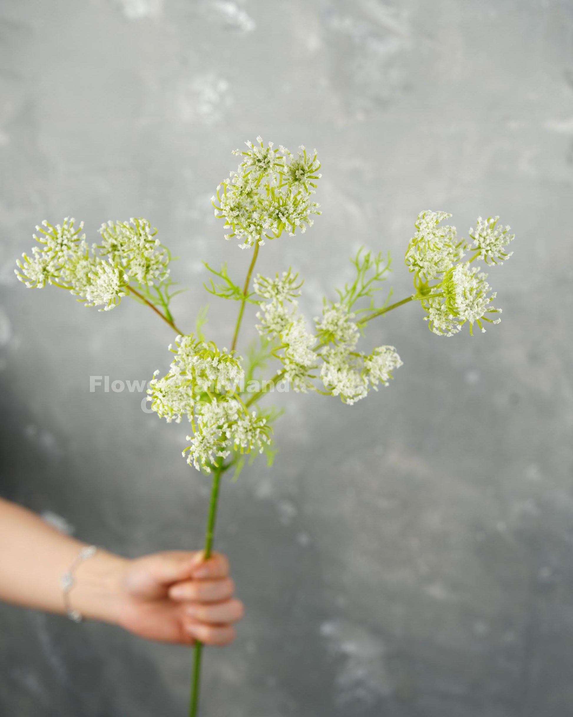 Faux Queen Anne's lace branch in white held in hand - detail