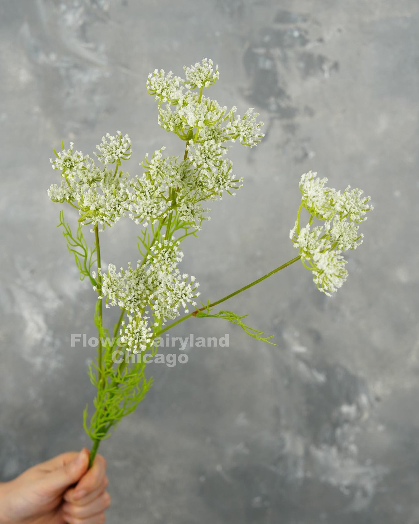 Faux Queen Anne's lace branch in white - full stem view