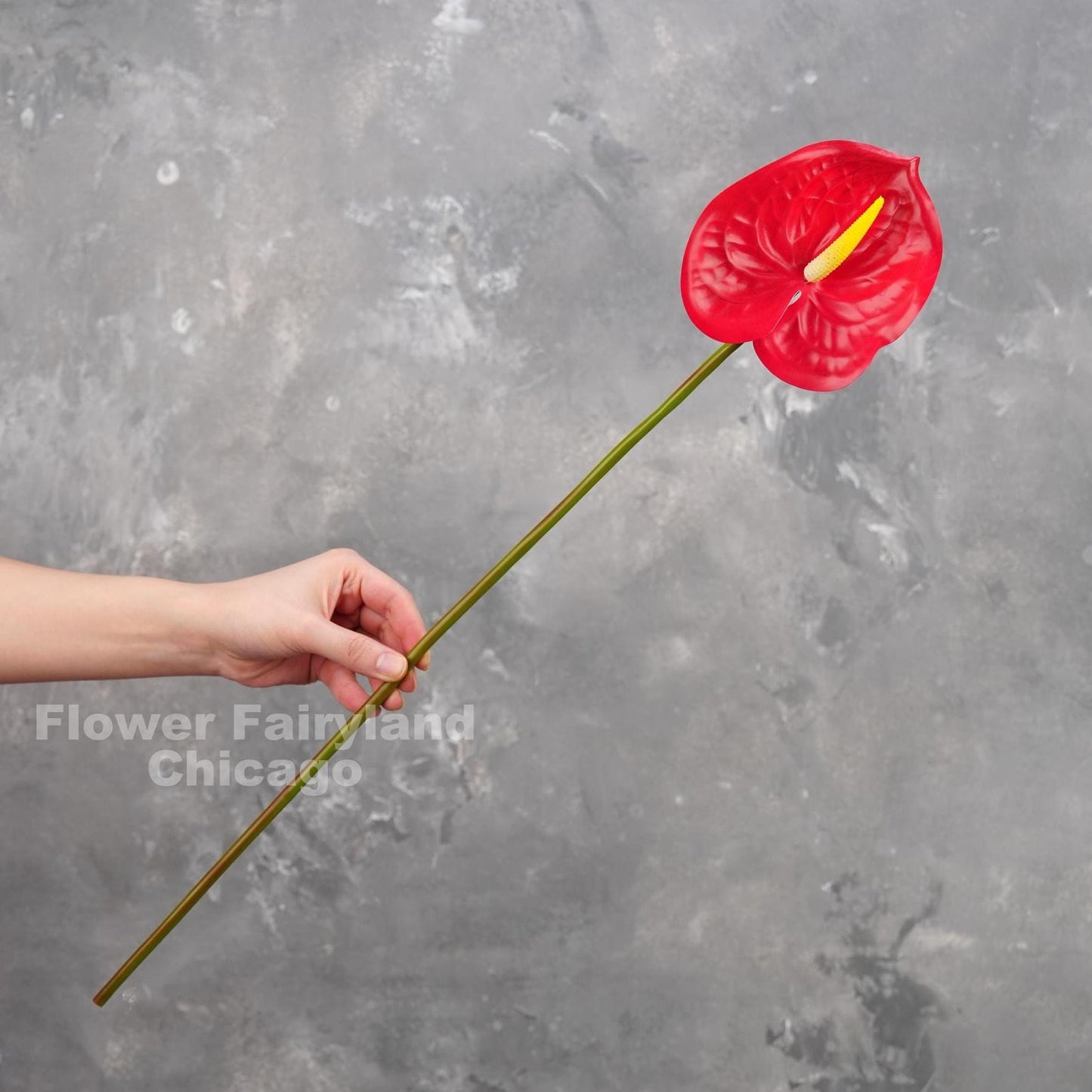 Real touch anthurium stem in red - single stem held in hand