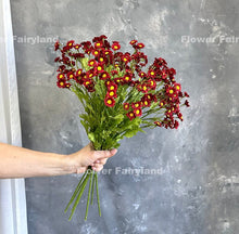 Load image into Gallery viewer, 21&quot; 30 Heads Chamomile Branch - Red
