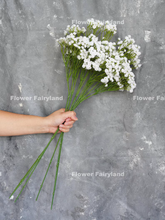 Load image into Gallery viewer, 27&quot; Baby&#39;s Breath Stem
