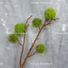 Load image into Gallery viewer, 27&quot; Faux Chestnut Stem - Green
