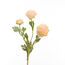 Load image into Gallery viewer, Faux Ranunculus - Light Peach
