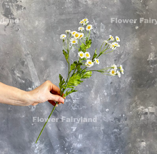 Load image into Gallery viewer, 21&quot; 30 Heads Chamomile Branch - Bright White
