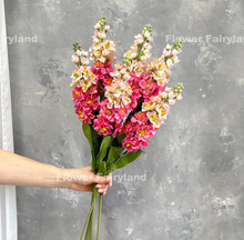 Load image into Gallery viewer, Faux Brompton Stock Bouquet - Gradual Pink
