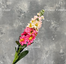 Load image into Gallery viewer, Faux Brompton Stock Bouquet - Gradual Pink
