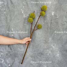 Load image into Gallery viewer, 27&quot; Faux Chestnut Stem - Yellowish Green
