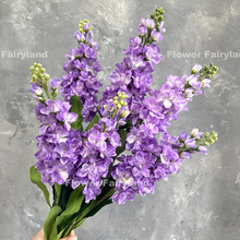 Load image into Gallery viewer, Faux Brompton Stock Bouquet - Light Lavender Purple
