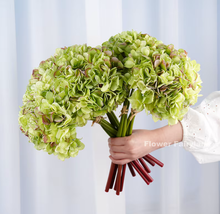 Load image into Gallery viewer, 3 Stems Dried Look Faux Hydrangea Bundle - Green
